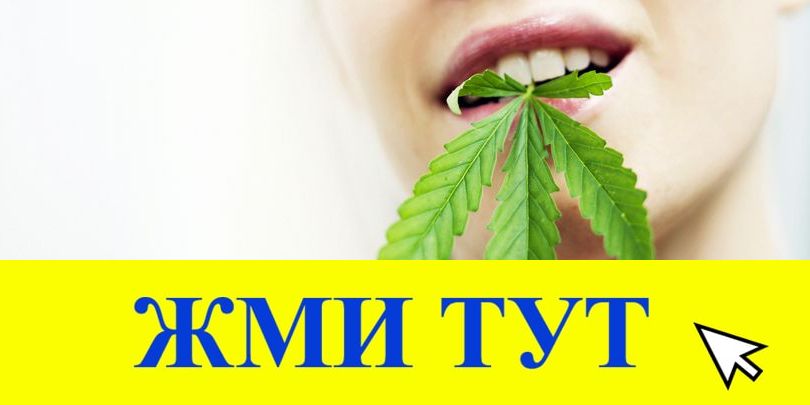 Купить наркотики в Зеленоградске